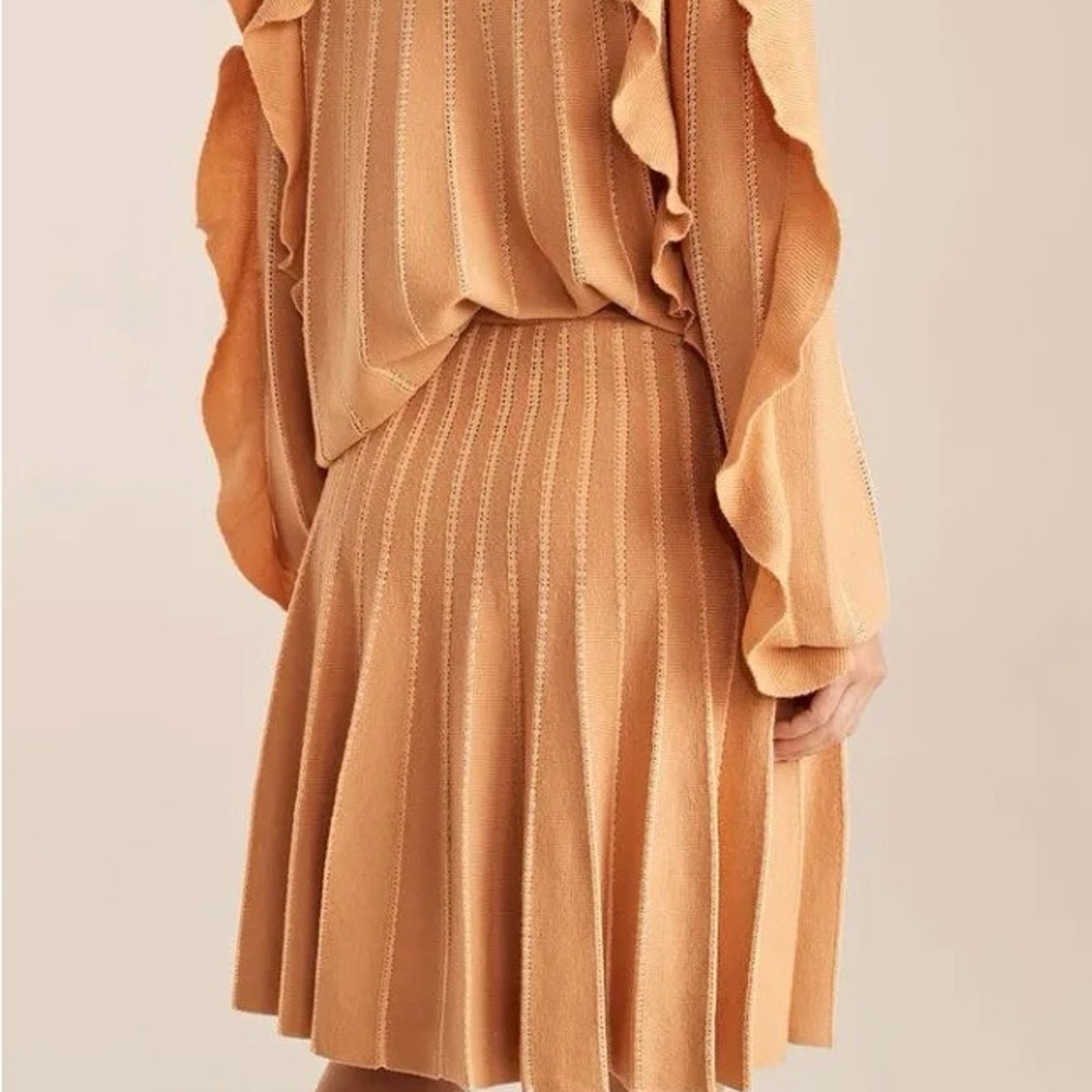 Rebecca Taylor Knit Pleated A-Line Skirt